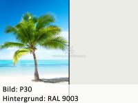 Bild_p30