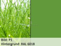 Bild_p1