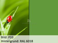 Bild_p33