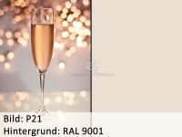 Bild_p21