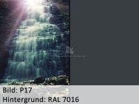 Bild_p17