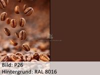 Bild_p26