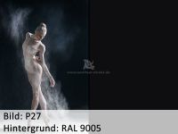 Bild_p27