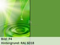 Bild_p4